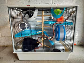 Rattenkooi en toebehoren  beschikbaar voor biedingen