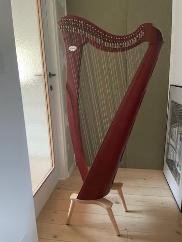 Harp (klepjesharp Salvi Harps Mia), Enlèvement, Comme neuf
