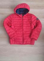 Jas America Today maat 146, Kinderen en Baby's, Kinderkleding | Maat 146, America Today, Ophalen of Verzenden, Zo goed als nieuw