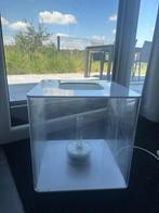 Aquarium Biorb, Animaux & Accessoires, Enlèvement, Utilisé, Aquarium vide