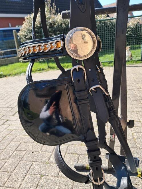 luxe laklederen  gareeltuig 2span paard Van der wiel, Dieren en Toebehoren, Paarden en Pony's | Hoofdstellen en Tuigage, Zo goed als nieuw