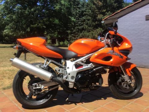 TL1000S (vollédig gereviseerd en herspoten!), Motoren, Motoren | Suzuki, Particulier, Sport, meer dan 35 kW, 2 cilinders, Ophalen