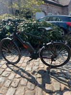 Thompson elektrische fiets bosch, Fietsen en Brommers, Ophalen, Gebruikt