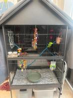 Grote kooi, Dieren en Toebehoren, Ophalen, Gebruikt, Aluminium, Volière