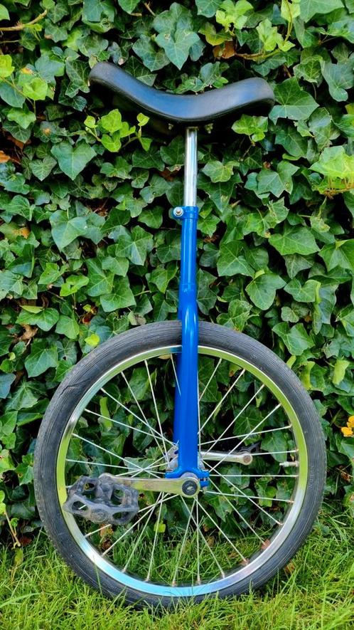 Monocycle bleu fraîchement peint, Vélos & Vélomoteurs, Vélos | Unicycles, Comme neuf, Enlèvement ou Envoi