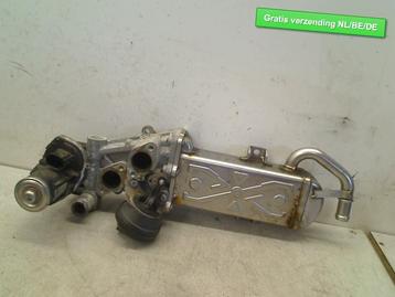 EGR KOELER Volkswagen Golf VI (5K1) (03L131512BB) beschikbaar voor biedingen