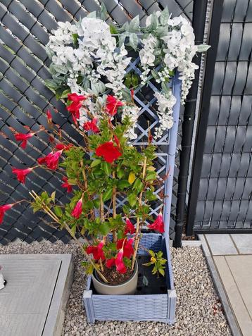 Klimrekje voor planten of bloemen met plantenbak beschikbaar voor biedingen