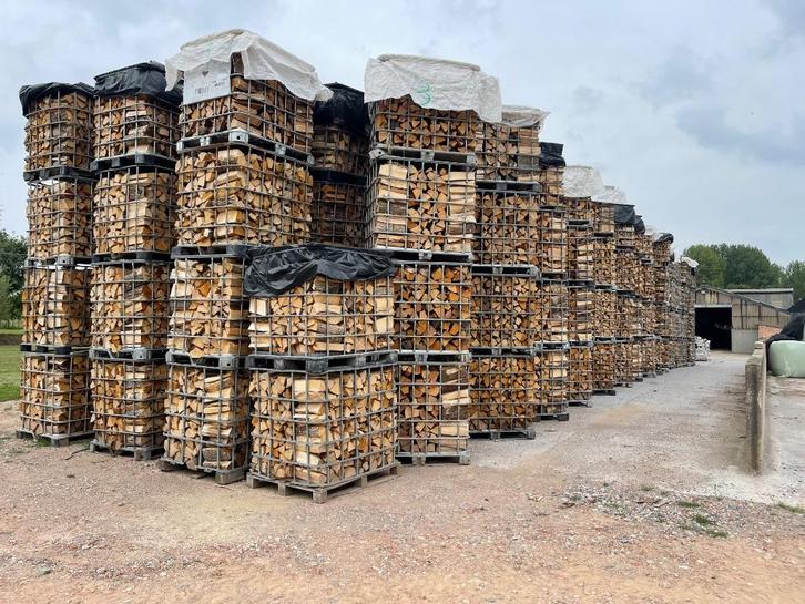 Droog brandhout te koop, Tuin en Terras, Brandhout, Blokken, Overige houtsoorten, 6 m³ of meer, Ophalen