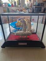 Ancien bâteau chinois vitrine, Antiek en Kunst, Antiek | Overige Antiek, Ophalen of Verzenden