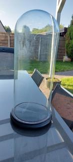 Grote antieke ronde globe stolp 53cm hoog en 21cm diameter, Ophalen