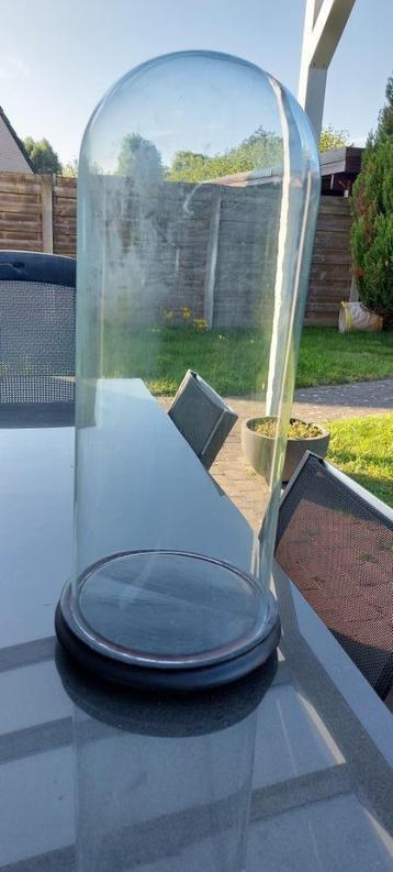 Grote antieke globe stolp rond 53cm hoog en 21cm diameter  beschikbaar voor biedingen