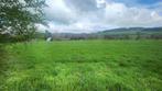 Terrain à vendre à Lierneux, Immo, Gronden en Bouwgronden, 1000 tot 1500 m²
