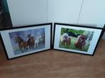 wisselkader met poster paarden, Ophalen of Verzenden, Nieuw