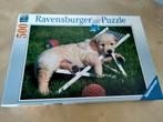 Puzzle Ravensburger - chien sur une chaise de plage, Enlèvement ou Envoi, Comme neuf