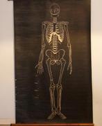 wandkaart menselijk skelet dubbelzijdig, Enlèvement, Nature et Biologie
