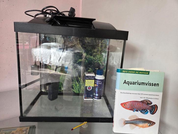 Nano aquarium, Dieren en Toebehoren, Vissen | Aquaria en Toebehoren, Zo goed als nieuw, Leeg aquarium, Ophalen