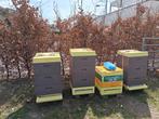 Segeberger bijen materiaal te koop, Dieren en Toebehoren, Insecten en Spinnen, Bijen