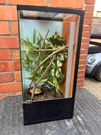 Terrarium, Dieren en Toebehoren, Ophalen, Gebruikt