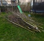 Snoeihout wilg, Enlèvement