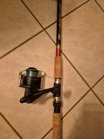 Canne a peche, Enlèvement