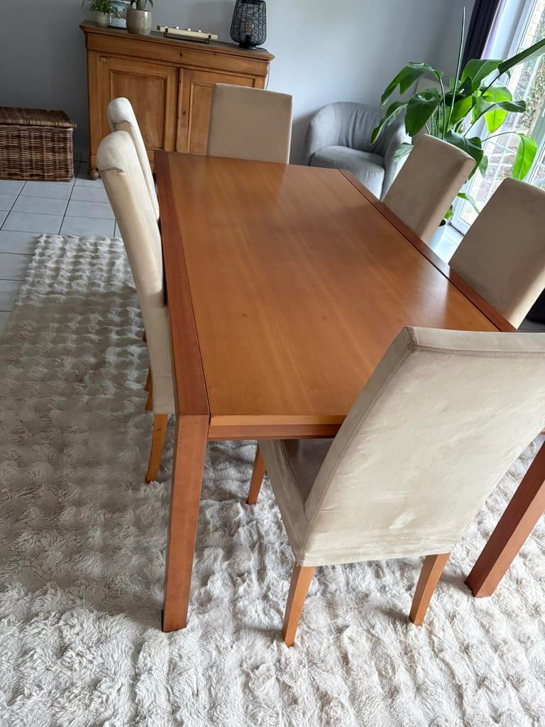 Table + 6 chaises, Enlèvement, Utilisé, 4 à 6 chaises