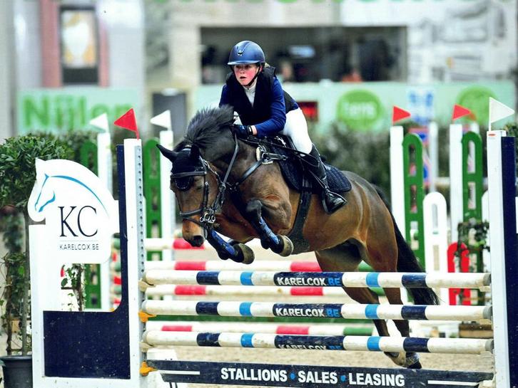 Top leermeester springpony (merrie 18j), Animaux & Accessoires, Chevaux, Jument