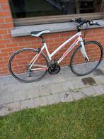 Dames koersfiets, Ophalen