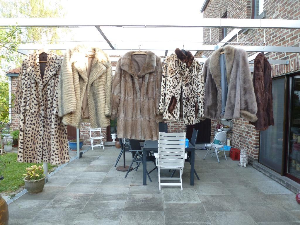 lot de 6 manteaux en fourrure, Enlèvement, Porté