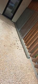 Hondenren buiten, Enlèvement