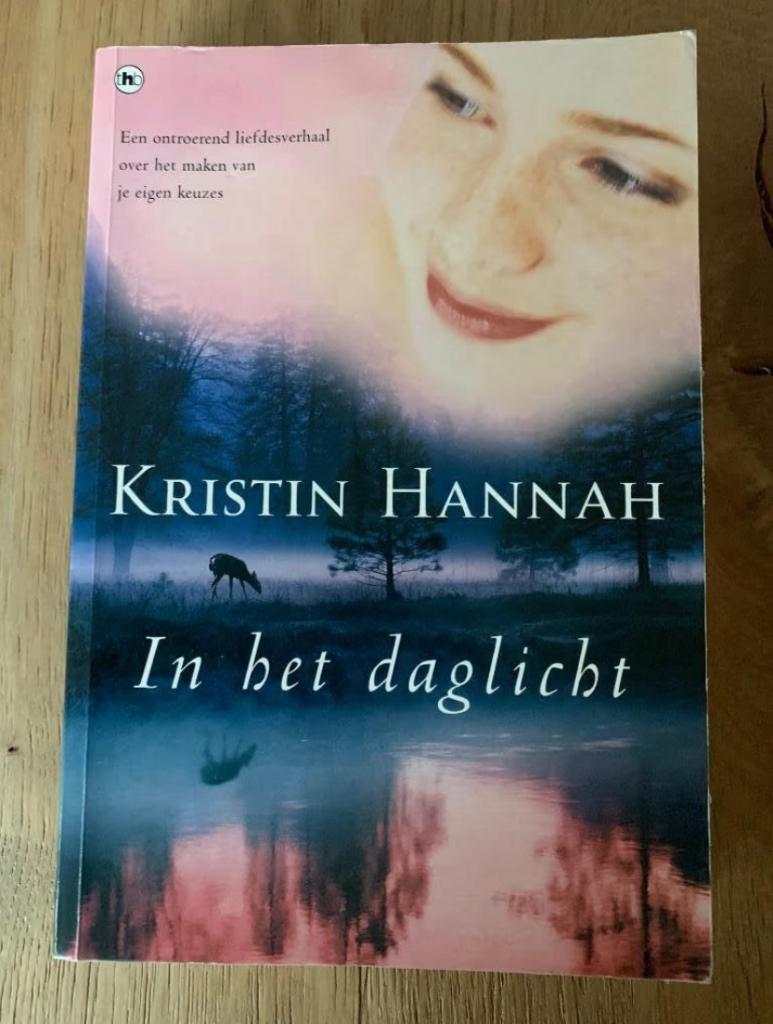 In het daglicht, Kristin Hannah In perfecte staat, Ophalen of Verzenden