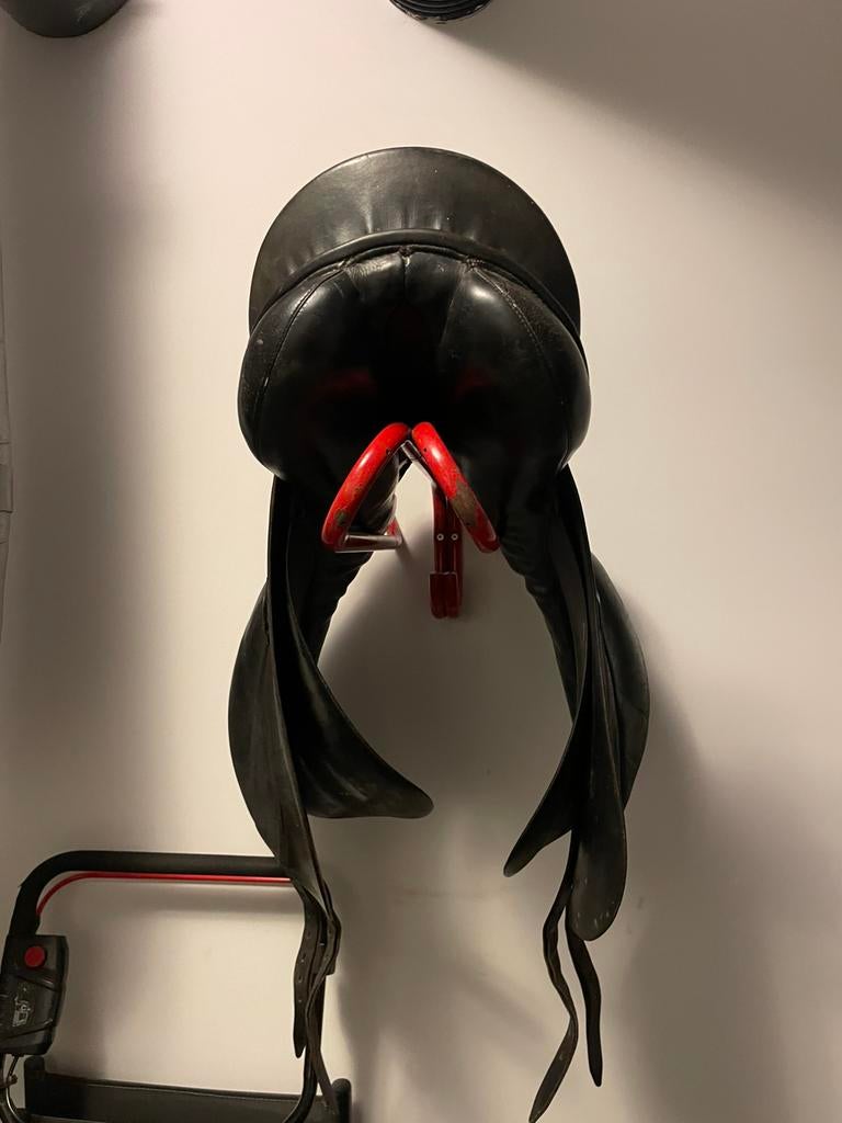 Passier Grand Gilbert, Enlèvement, Utilisé, Dressage