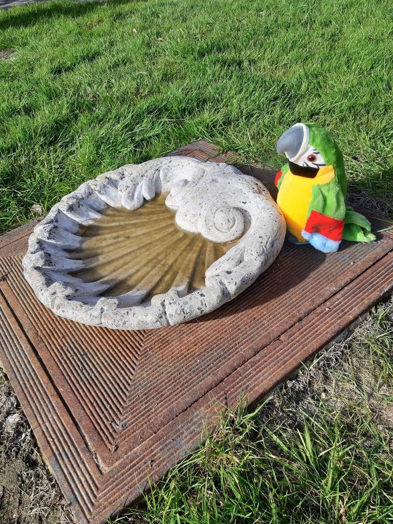 Betonnen drinkschaal voor vogels/ huisdieren, 50cm doorsnede, Enlèvement, Comme neuf