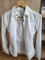 Hemd Tommy Hiflinger, Kleding | Dames, Tommy hilfiger, Wit, Nieuw, Ophalen of Verzenden