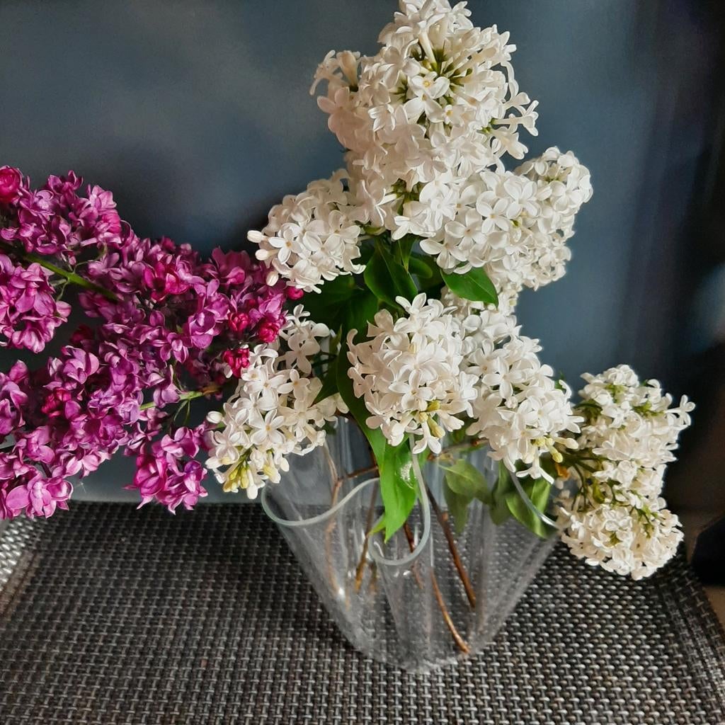 Vase mouchoir en plexiglas, Maison & Meubles, Accessoires pour la Maison | Vases, Enlèvement