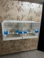 Cage Domus-Molinari 90cm blanche, Enlèvement, Neuf, Autres matériaux, Cage d'élevage