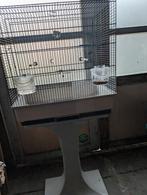 Vogelkooi, Enlèvement, Cage à oiseaux