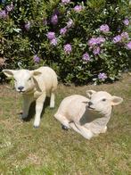 Beeld set Texel schaap lammetjes, tuin, boerderij, Ophalen, Nieuw, Kunststof, Dierenbeeld