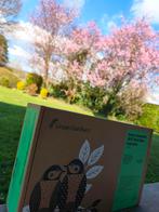 Caméra pour oiseaux, Enlèvement