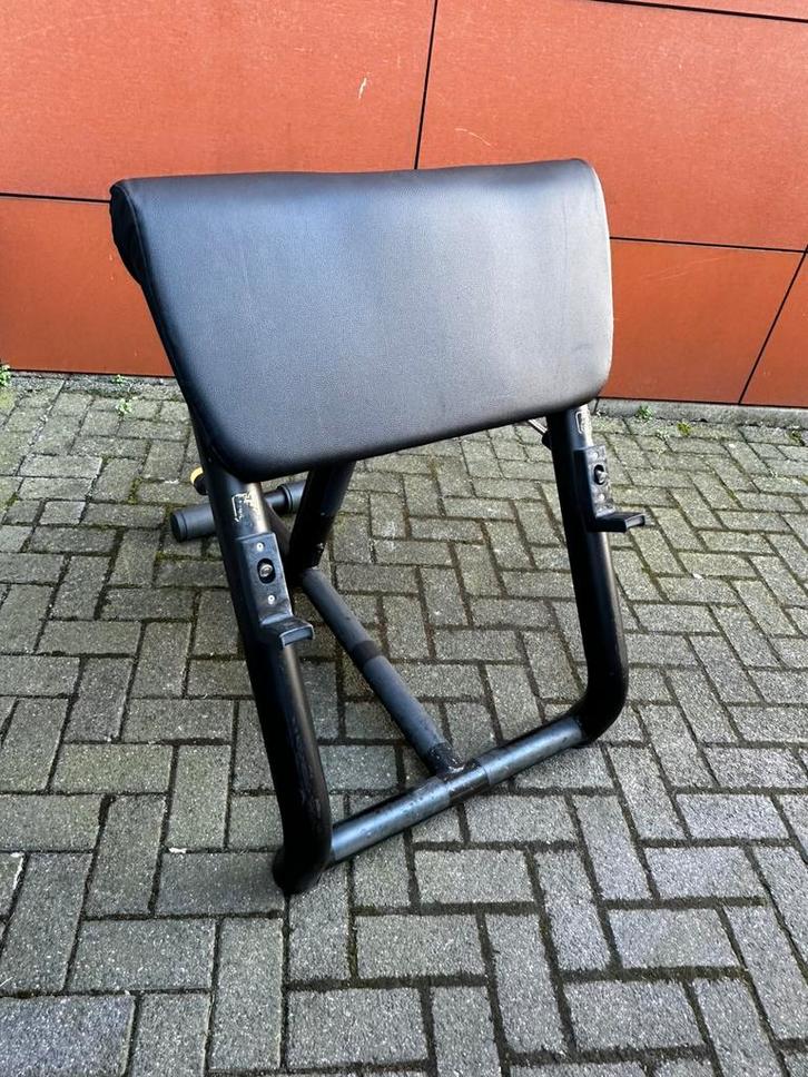 Technogym Scott Bench , Bicepsbankje, Sport en Fitness, Fitnessmaterialen, Gebruikt, Ophalen