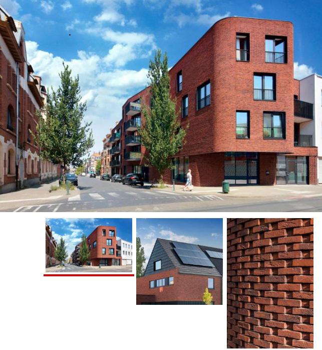 Wienerberger Forum Pampas Eco-Brick, Doe-het-zelf en Bouw, Ophalen, Nieuw