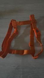 Harnais pour chien taille L, Enlèvement, Utilisé