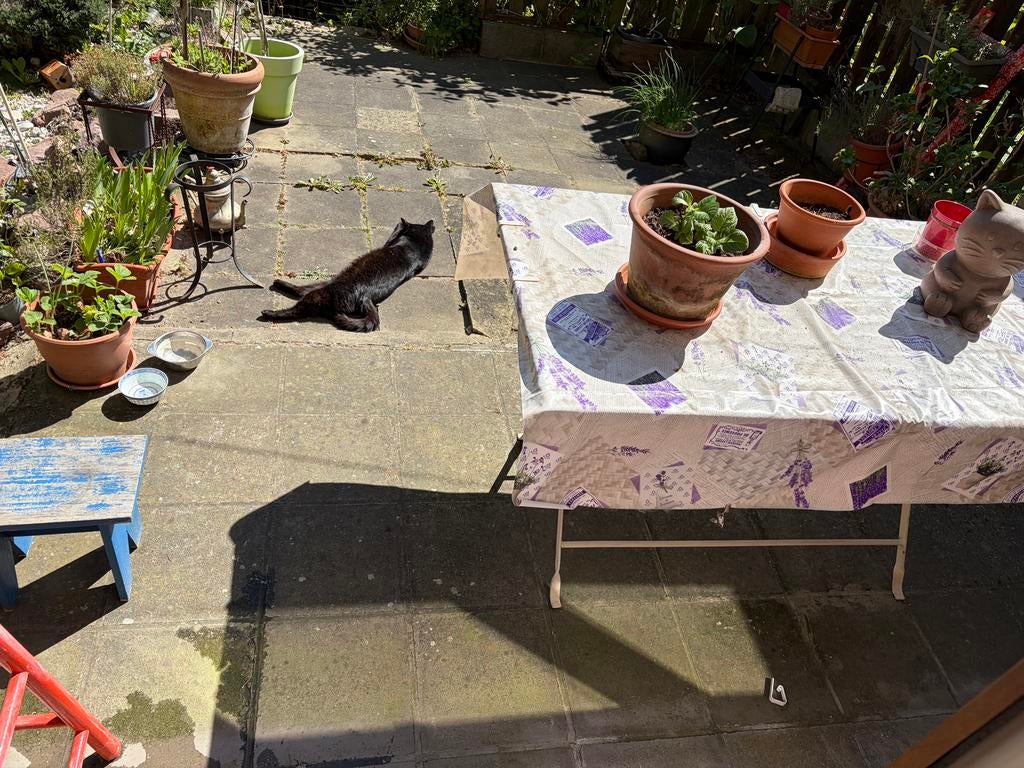 Cherche homme a tout faire