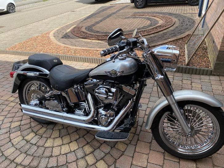 Harley Davidson, Motos, Motos | Harley-Davidson, Particulier, Tourisme, plus de 35 kW, 2 cylindres, Permis Moto A, Enlèvement