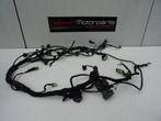 Kabelboom / Wire Harness Ducati Streetfighter 1098 / S 2009, Motoren, Gebruikt, -, -, Ophalen of Verzenden