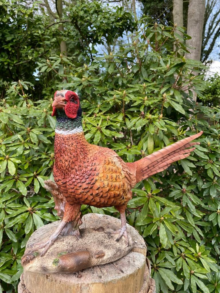 Beeld fazant, tuin, vijver, gazon, boerderij 80cm, Ophalen, Nieuw, Kunststof, Dierenbeeld