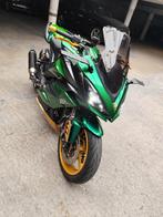 CUSTOM BEAST NINJA 1KSX Groen/Goud met veel extra's, 1099 cc, 4 cilinders, Motorrijbewijs A, Handvatverwarming