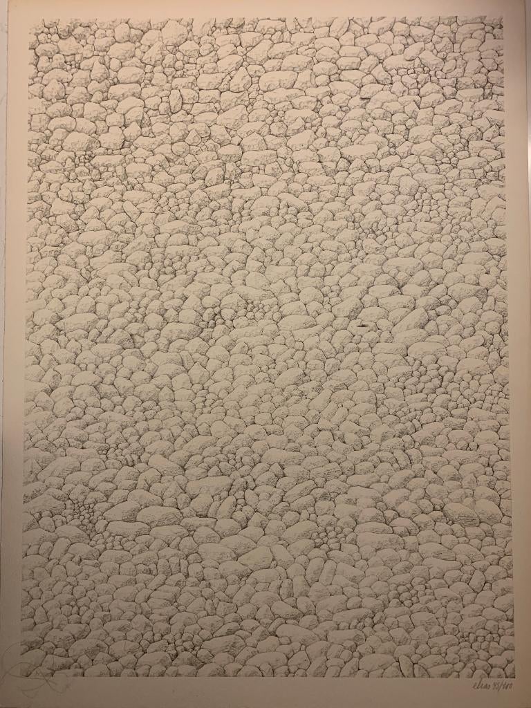 Etienne Elias - grote litho - Stenen, Ophalen of Verzenden