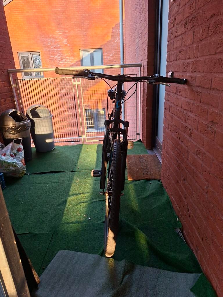 Velo adulte, Enlèvement