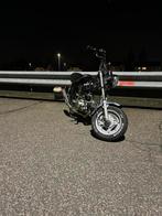 Dax 50cc b klasse, Autres modèles, 4 vitesses, Classe B (45 km/h), Enlèvement