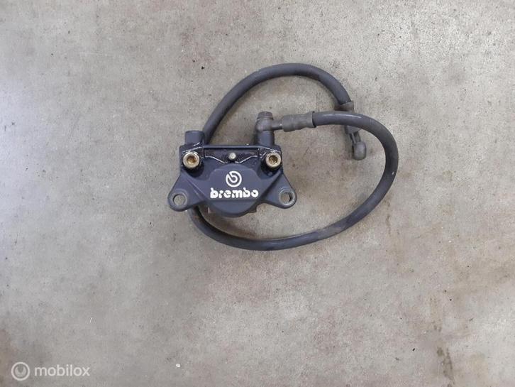 Remklauw achterremklauw Brembo Monster ST SS 888 851 916 748, Motoren, Onderdelen | Ducati, Gebruikt, Ophalen of Verzenden